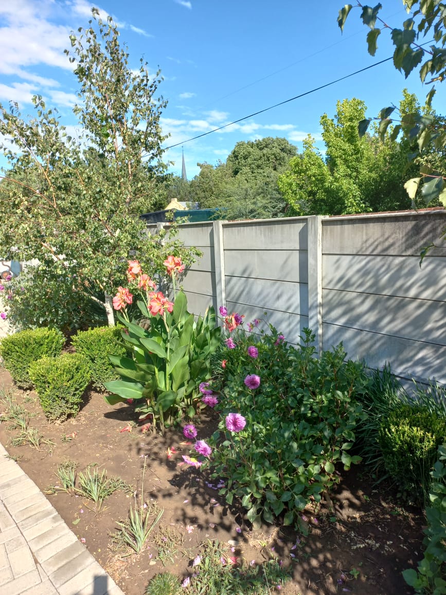 3 Bedroom Property for Sale in Senekal Free State